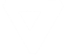 The Verge